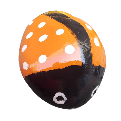 Lady Bird