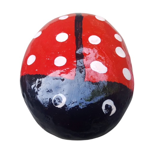 Lady Bird