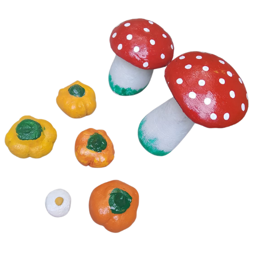 Fungi