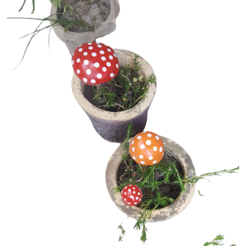 Fungi Pot
