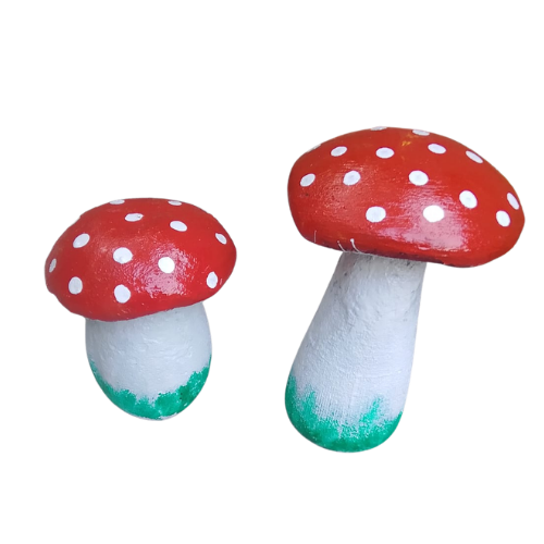 Fungi