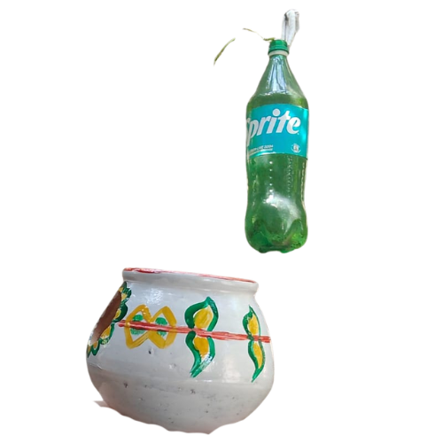 Pot