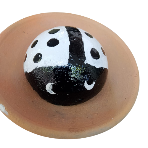 Lady Bird